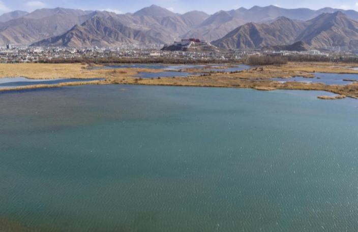 लारू आर्द्रभूमि में बिखरी प्राकृतिक सौंदर्य की छवि