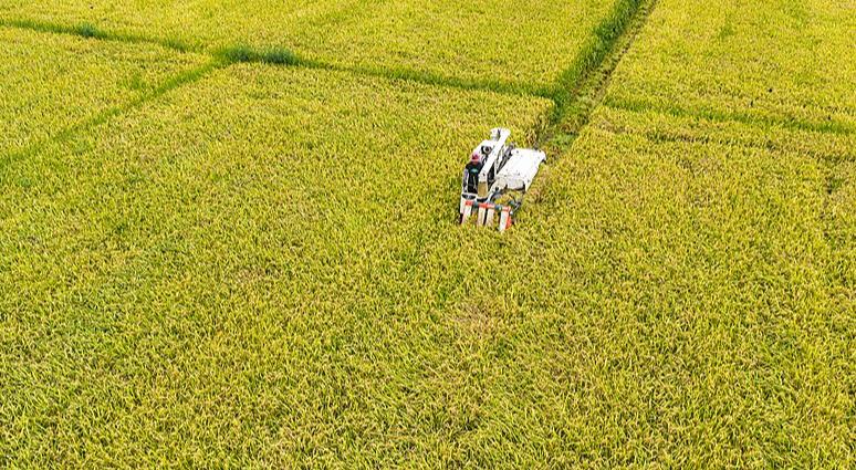 चीन का लक्ष्य 2030 तक खाद्य उत्पादन क्षमता बढ़ाना
